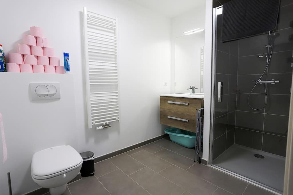 Chez Alexane Apartment Annecy Luaran gambar